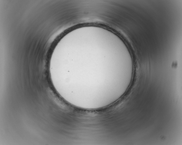 X0000113100975200909182134