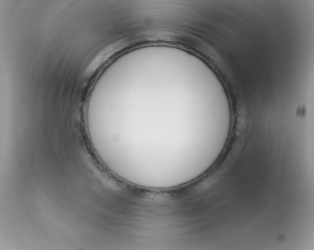 X0000113100978200909182134