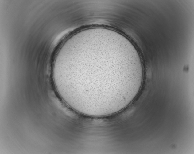 X0000113100979200909182134