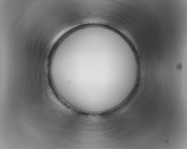 X0000113100983200909182134