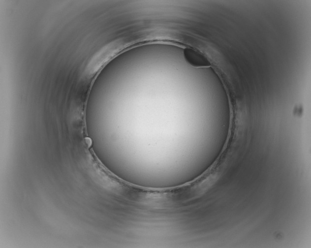 X0000113100985200909182134