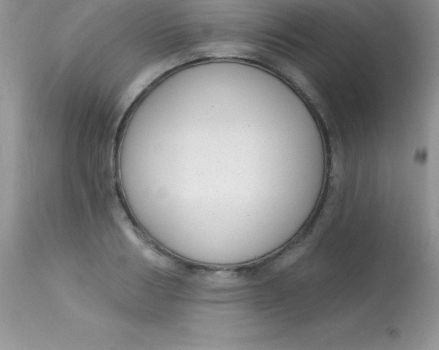 X0000113100986200909182134
