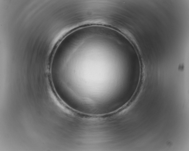 X0000113100989200909182133