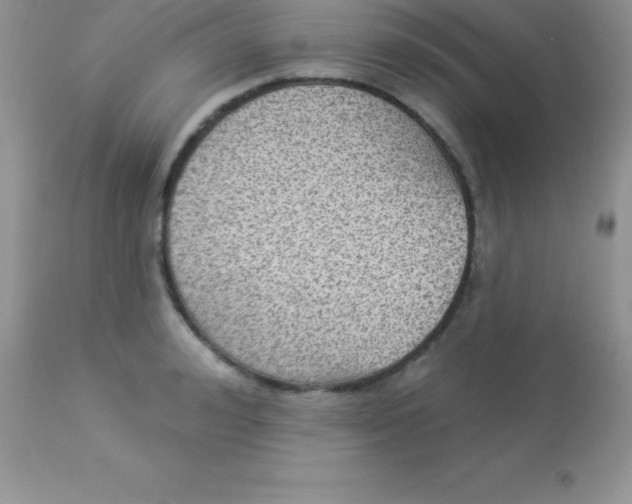 X0000113100992200909182133
