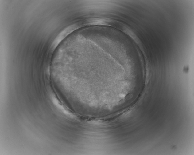 X0000113100994200909182133