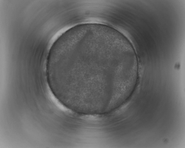 X0000113100995200909182133