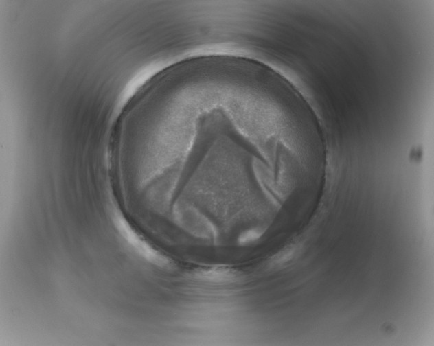 X0000113100998200909182133