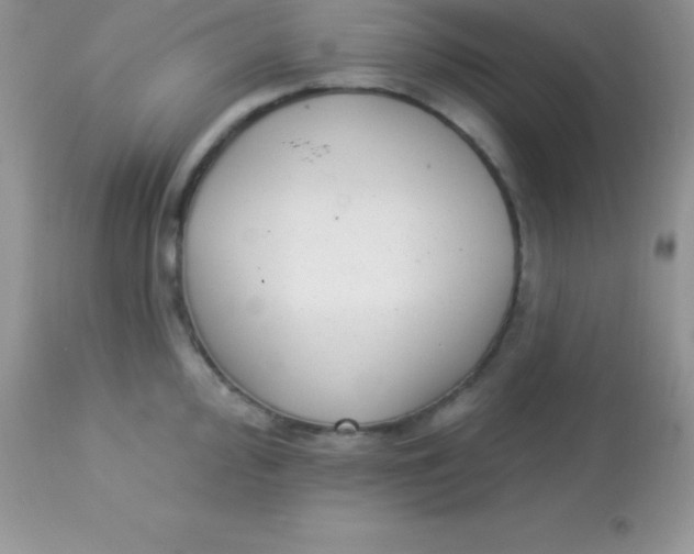 X0000113101000200909182133