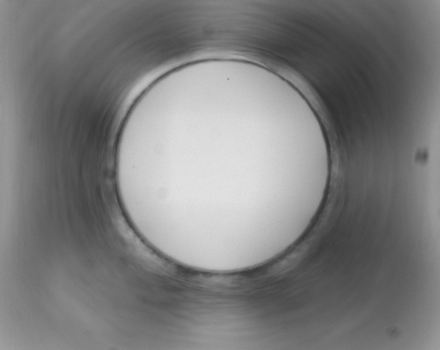 X0000113101004200909182133