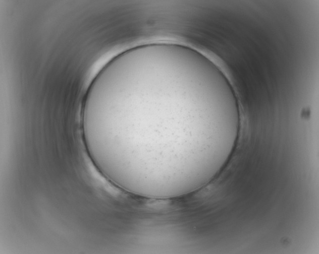 X0000113101006200909182133