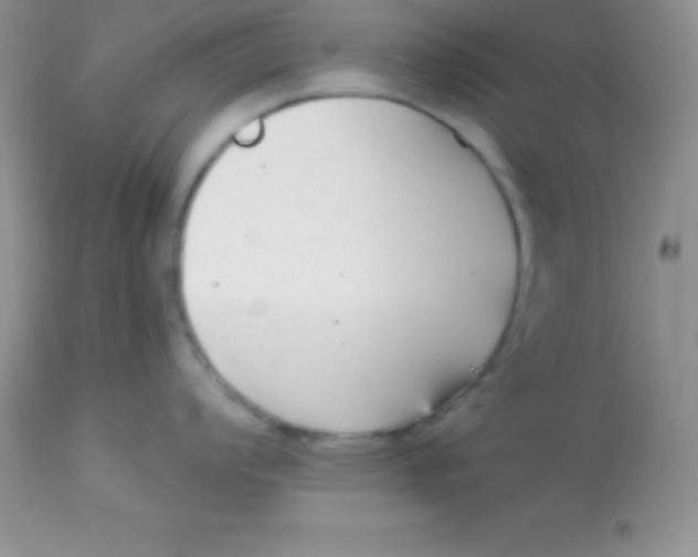 X0000113101008200909182133
