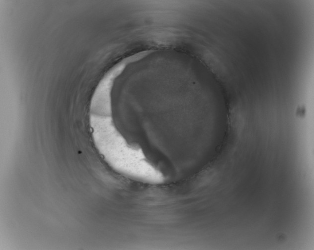 X0000113101009200909182133