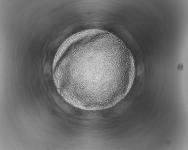 X0000113101011200909182133