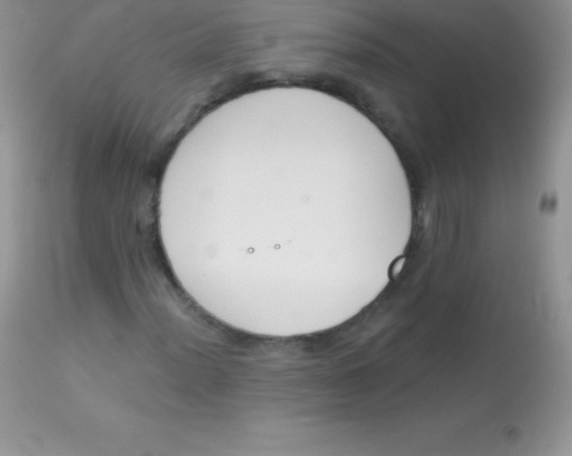 X0000113101012200909182133