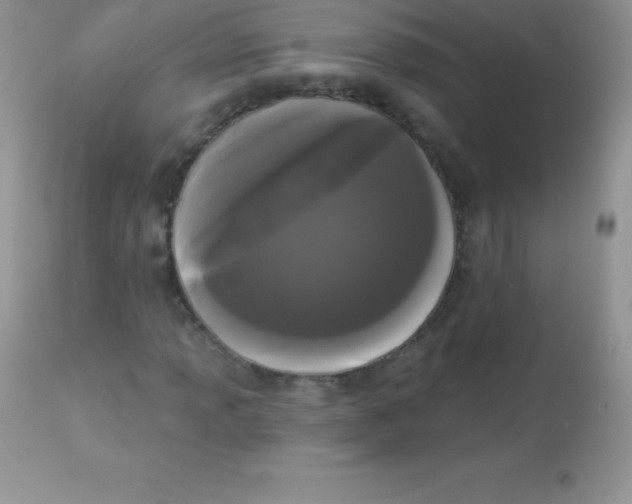 X0000113101013200909182133