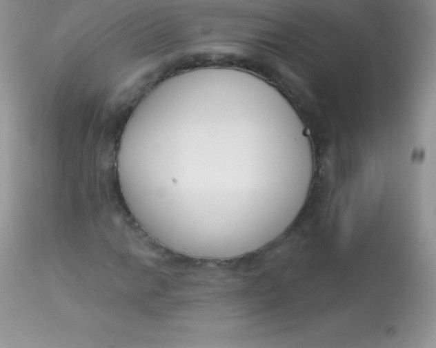 X0000113101014200909182133