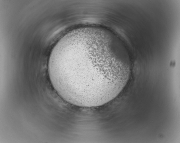 X0000113101015200909182133