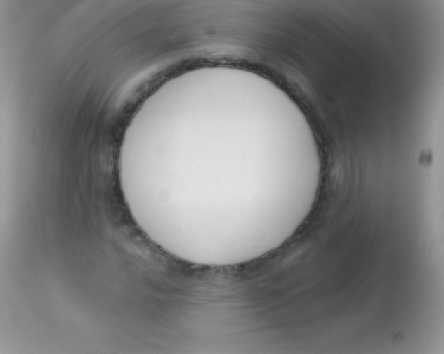 X0000113101016200909182133