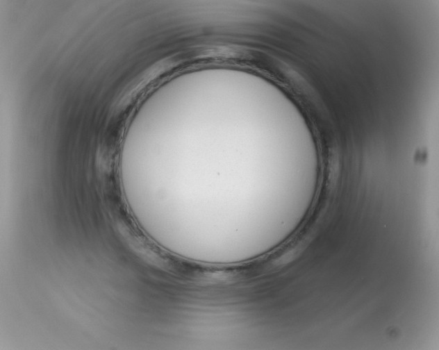 X0000113101017200909182133