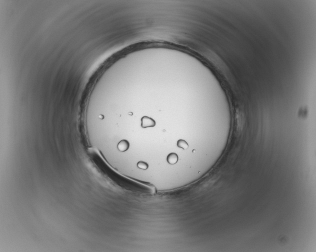X0000113101020200909182133