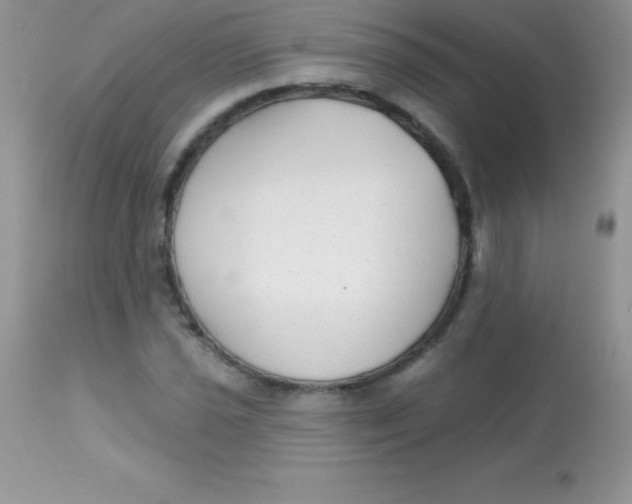X0000113101021200909182133