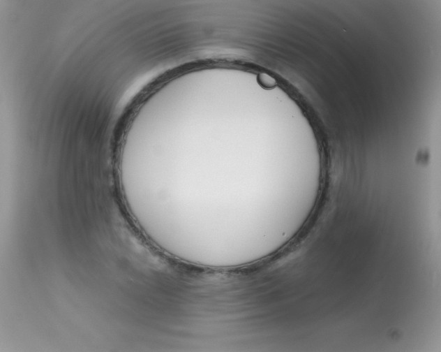 X0000113101022200909182133