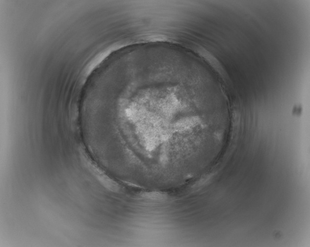 X0000113101023200909182133