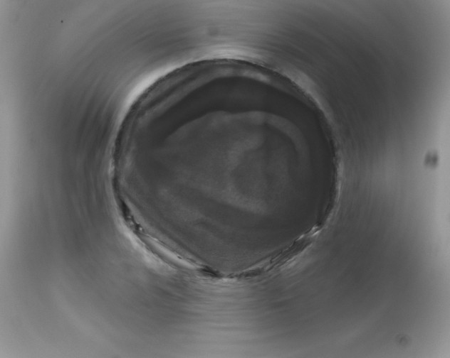 X0000113101024200909182133