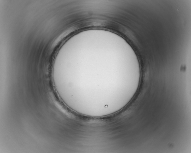 X0000113101026200909182133