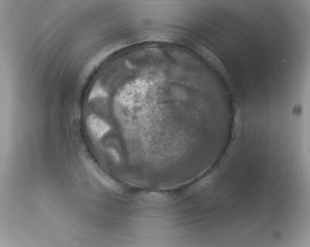 X0000113101027200909182133