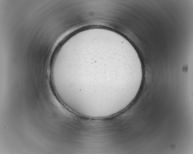 X0000113101028200909182133