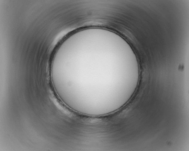 X0000113101030200909182133