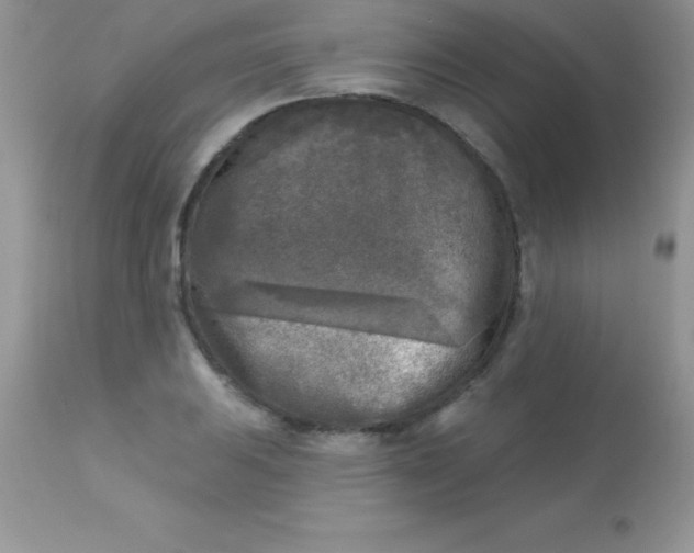X0000113101031200909182133