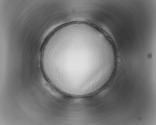 X0000113101035200909182133