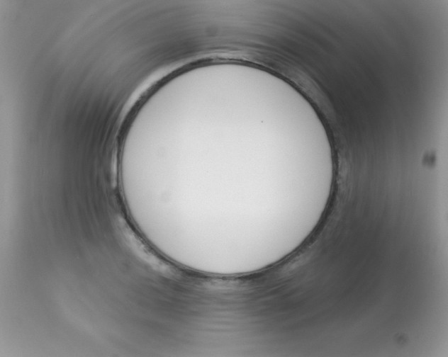X0000113101036200909182133
