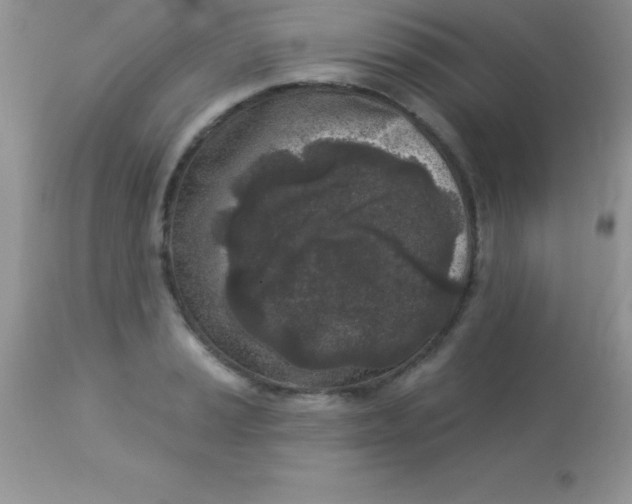 X0000113101037200909182133