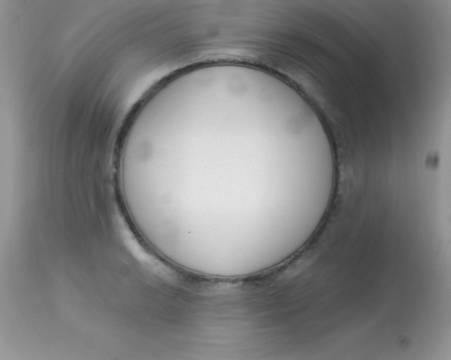 X0000113101038200909182133
