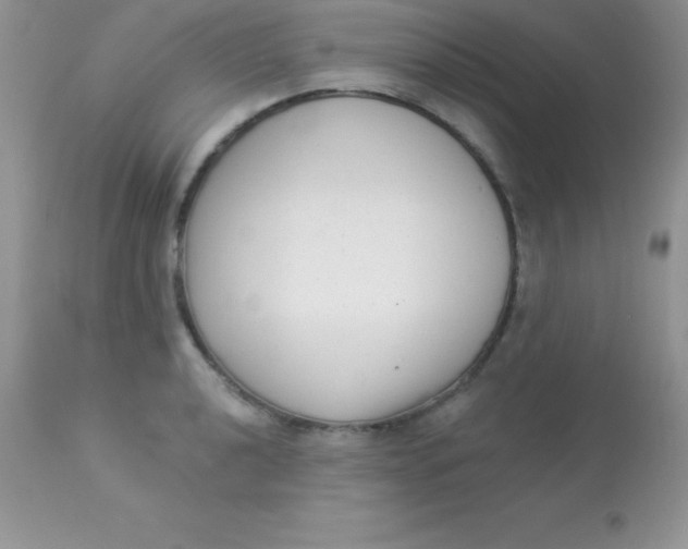 X0000113101040200909182133