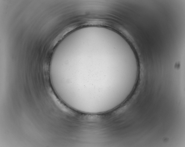 X0000113101041200909182133