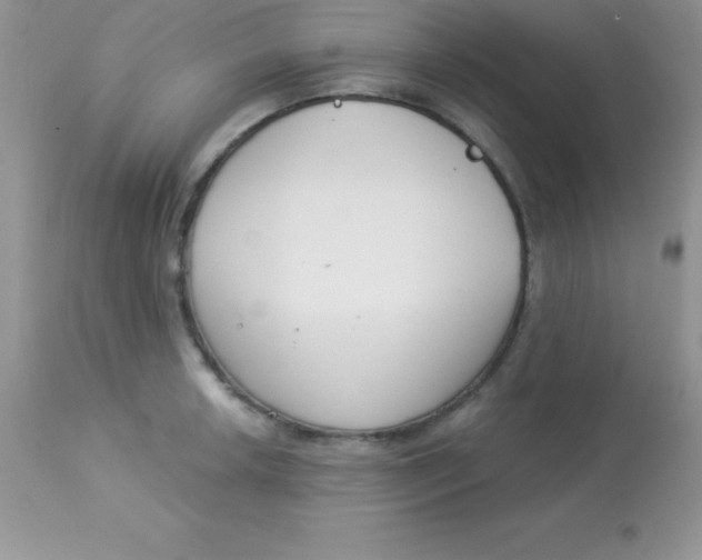 X0000113101042200909182133