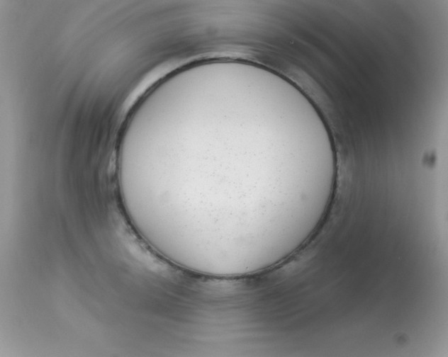 X0000113101044200909182133