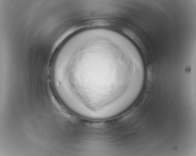 X0000113101047200909182133