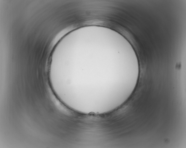 X0000113101050200909182133