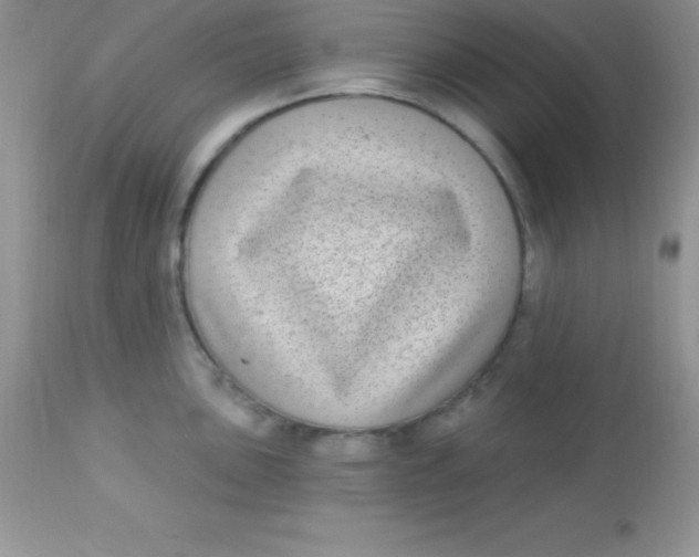 X0000113101051200909182133