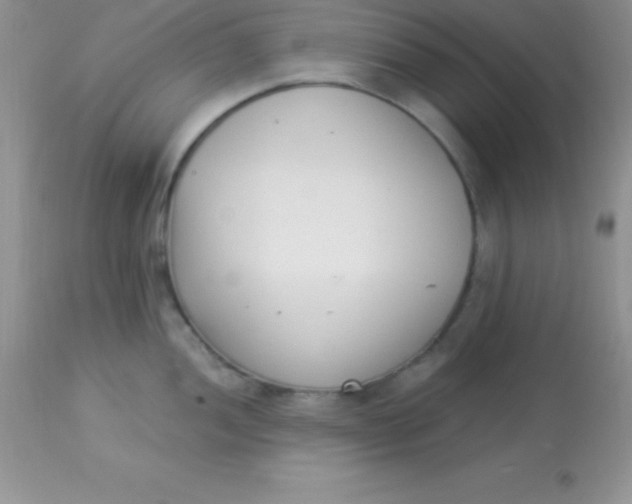 X0000113101052200909182133