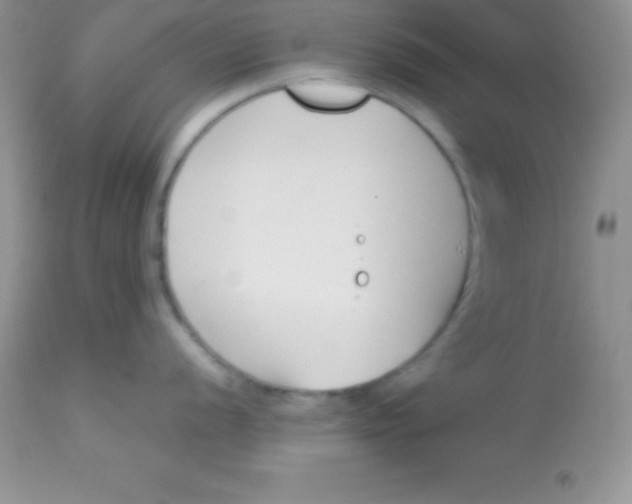 X0000113101056200909182133