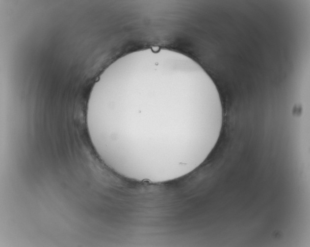 X0000113101058200909182133