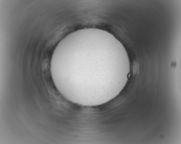 X0000113101059200909182133