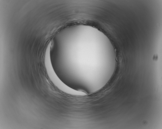 X0000113101060200909182132