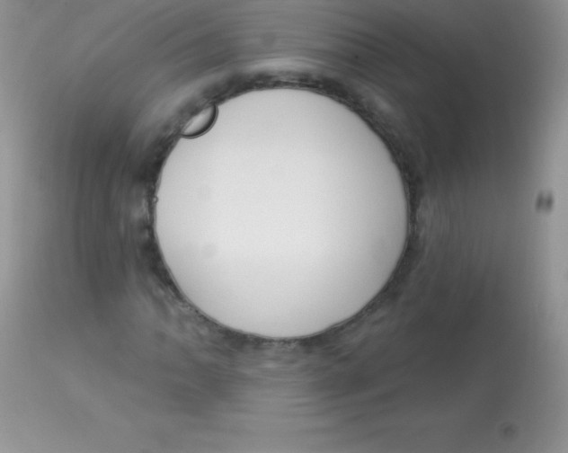 X0000113101062200909182132